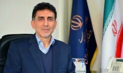 جشنواره بستری برای ارتقاء فرهنگ مشارکت و تجربه‌ هنر به‌عنوان زبان مشترک مردم است