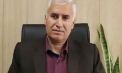 آغاز عملیات سمپاشی درختان سطح شهر همدان