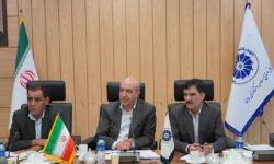 بانک‌ها بدون بخش خصوصی شکست می‌خورند