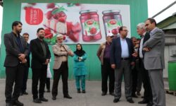 بازدید معاون وزیر صمت و مدیرکل صمت استان از کارخانه صنایع غذایی سحر همدان