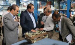 بازدید معاون وزیر صمت و مدیرکل صمت استان همدان از شرکت پلمپین صنعت