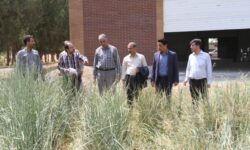 بازدید مدیرکل امور بیابان از طرح‌های همدان