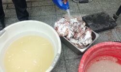 کشف گوشت فاسد در رستوران معروف همدان