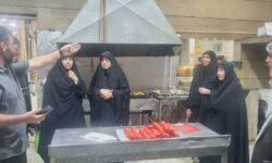نظارت شبانه تعزیرات در همدان؛ ۱۱۷ پرونده تخلف در طرح اربعین تشکیل شد
