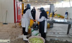 تأکید مدیرکل امور بانوان همدان بر افتتاح هرچه سریع‌تر بازارچه دائمی صنایع دستی ملایر