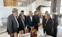 تعاونی‌ها در اجرای الگوی کشت نقش موثری دارند