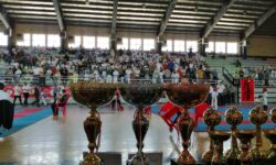 همدان قهرمان مسابقات کشوری سبک کیوکوشین کاراته FIKK