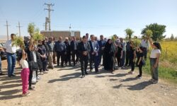 ششمین جشنواره برداشت رازیانه در رزن برگزار شد