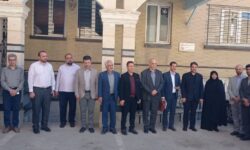 کشف ۵۰۰ کیلوگرم لیموی تقلبی در طرح نظارت بر بازار همدان