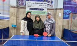 پاراتنیس‌روی‌میز همدان برگزار شد