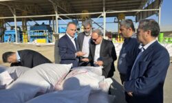بازدید معاون وزیر جهاد کشاورزی از ایستگاه بذر نهران در همدان