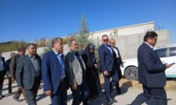 بازدید وزیر جهاد کشاورزی و مدیرعامل سازمان مرکزی تعاون روستایی ایران از مزرعه نمونه زعفران در کبودرآهنگ