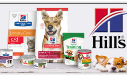 محکومیت یک‌میلیارد و 896 میلیون ریالی قاچاقچی غذای حیوانات در کبودراهنگ