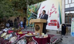 جشنواره آلو در ماسوله غرب کشور برگزار شد