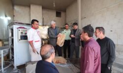 بازدید فرماندار تویسرکان از نانوایی‌های سطح شهرستان