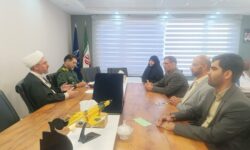 طرح سازماندهی بازرسان افتخاری تعزیرات حکومتی کلید خورد