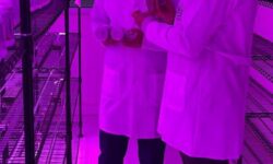 بازدید مدیر تعاون روستایی استان همدان از آزمایشگاه تخصصی کشت‌بافت گیاهی اتحادیه شرکت‌های تعاونی تولید روستایی استان