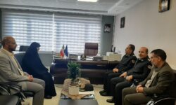 برخورد با متخلفان دانه درشت کلید نظم در بازار