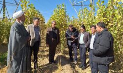 بازدید معاون مسئول حوزه نمایندگی ولی‌فقیه در سازمان منابع طبیعی کشور از منابع طبیعی استان همدان