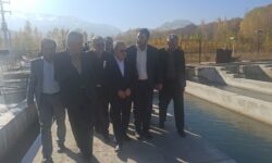 مرجعیت علمی کشاورزی در خاورمیانه؛ از تولید ۱.۳ میلیارد تنی تا هوش مصنوعی در پایش کشت