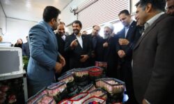 افتتاح گلخانه هیدروپونیک گل رز شاخه بریده در نهاوند با حضور استاندار همدان