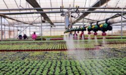 بهره‌وری آب و محصولات پیشرو در سایه قدمت ۶۰ ساله مرکز تحقیقات کشاورزی همدان