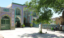 اظهارات معاون میراث‌فرهنگی استان همدان درباره درخت کهنسال شاهزاده حسین(ع)