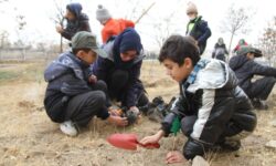 کاشت نهال توسط دانش‌آموزان همدانی در محوطه کتابخانه‌های عمومی استان