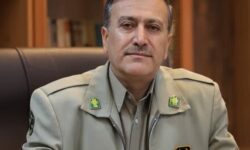 عدم مدیریت پسماندها موجب جلب حیات وحش به داخل شهرها می‌شود