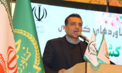 تکمیل زنجیره ارزش کشاورزی در همدان ضروری است