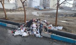 زباله را ساعت ۲۰ تا ۲۲ بیرون بگذارید