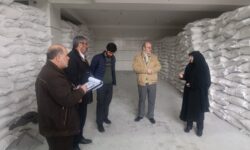 انبارهای نگهداری کالا تحت نظارت میدانی تعزیرات همدان