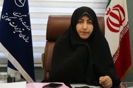 رسیدگی به 999 پرونده تعزیراتی در بهمن‌ماه