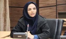 رویدادهای هنری استان متوقف نشده است