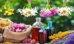 تولید بیش از ۴۰۰ تُن انواع گیاهان دارویی در تویسرکان