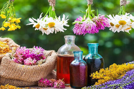 تولید بیش از ۴۰۰ تُن انواع گیاهان دارویی در تویسرکان