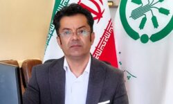 کسب رتبه نخست کشور در نظارت بر توزیع کودهای یارانه‌ای توسط شرکت خدمات حمایتی کشاورزی همدان