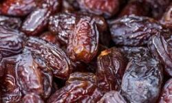 عرضه نامحدود خرمای مضافتی بم با قیمت ۲۶۵ هزارتومان ویژه ماه رمضان