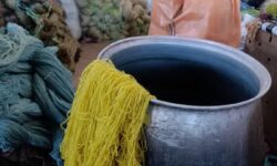 احیای رشته رنگرزی سنتی در همدان