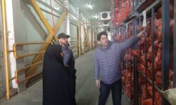 برخورد قاطع تعزیرات حکومتی با متخلفان ایام جنگ