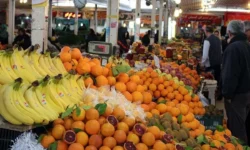 آغاز توزیع میوه‌های تنظیم بازار ایام پایانی سال و نوروز ۱۴۰۵ از شنبه در همدان