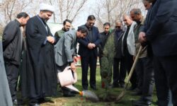 درختکاری استاندار همدان در روز طبیعت