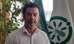 از آغاز جنگ تحمیلی؛ تأمین و توزیع ۶۸۰۰ تن انواع کود کشاورزی توسط شرکت خدمات حمایتی کشاورزی در استان همدان