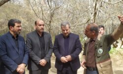 بازدید استاندار همدان از مجتمع گردشگری پارک جنگلی سراب فارسبان