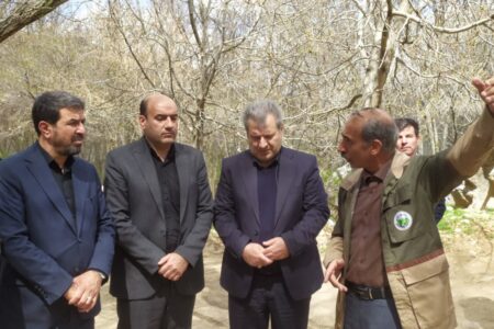 بازدید استاندار همدان از مجتمع گردشگری پارک جنگلی سراب فارسبان