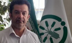 تخصیص ۱۰ هزار تنی کودهای کشاورزی در ابتدای سال به استان همدان