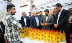 نمایشگاه کالاهای اساسی همدان؛ نقش‌آفرینی تنظیم‌گرانه دولت محلی برای تثبیت بازار و تقویت قدرت خرید