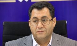۳۰۵ میلیارد تومان سپرده گذاری شرکت‌های بیمه در استان همدان