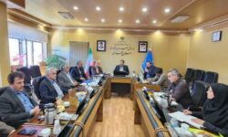 مصوبات جدید کمیسیون نظارت اصناف همدان؛ از تشدید بازرسی‌ها تا ساماندهی واحدهای گوشت و مرغ