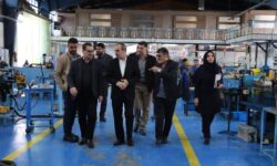 کسب دو رتبه برتر استان توسط صمت همدان در حوزه اشتغال و تسهیلات
